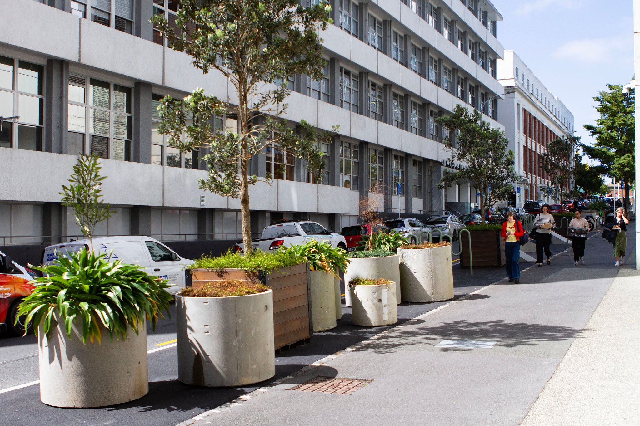 Looking down St Paul's street in downtown Auckland, there are cylindrical concrete planters with native plants like Renga Renga and pōkākā, alongside large wooden planters with Pohutukawa on new pavement where the road used to be. Bike rails fashioned into fun wavy shapes are interspersed through the boxes. The AUT visual arts building is in the background. 